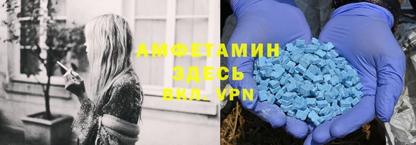 прущие грибы Волосово