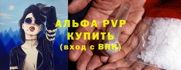 прущие грибы Волосово