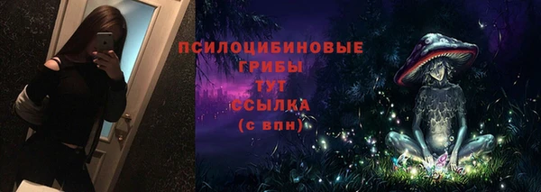прущие грибы Волосово