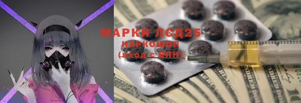 прущие грибы Волосово
