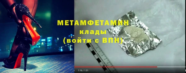 прущие грибы Волосово