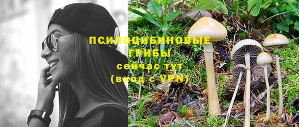 прущие грибы Волосово