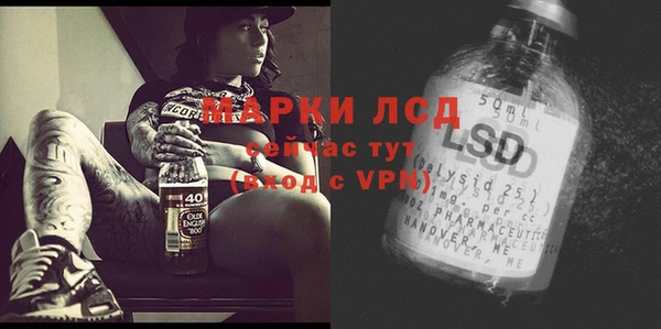 прущие грибы Волосово