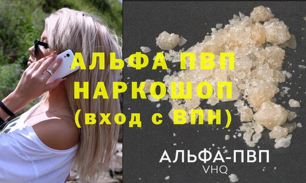 прущие грибы Волосово