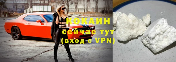 прущие грибы Волосово