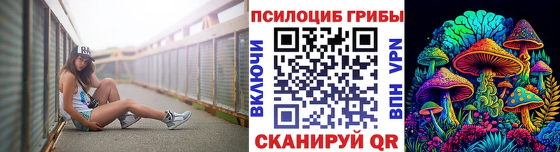 Галлюциногенные грибы Psilocybe  Раменское 